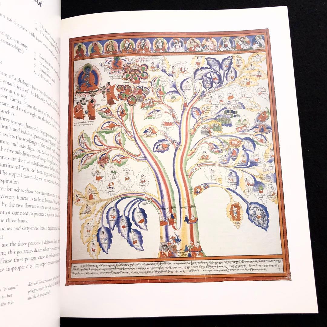 チベット医学 曼荼羅画集 The Buddha's Art of Healing