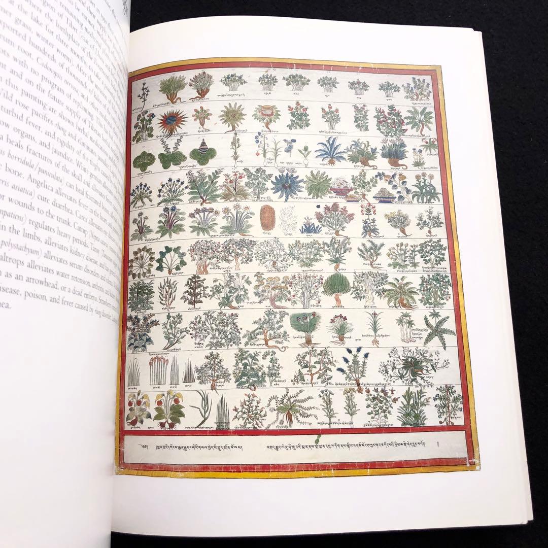 チベット医学 曼荼羅画集 The Buddha's Art of Healing