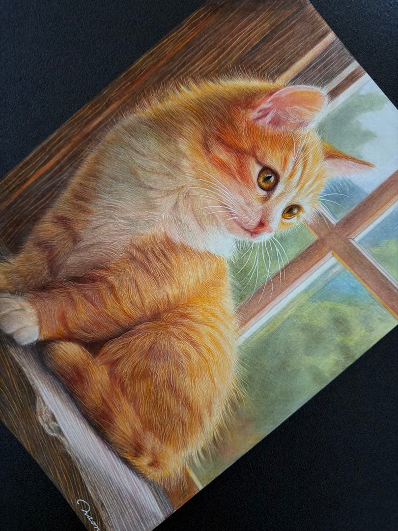 色鉛筆画A4.午後の窓辺.猫