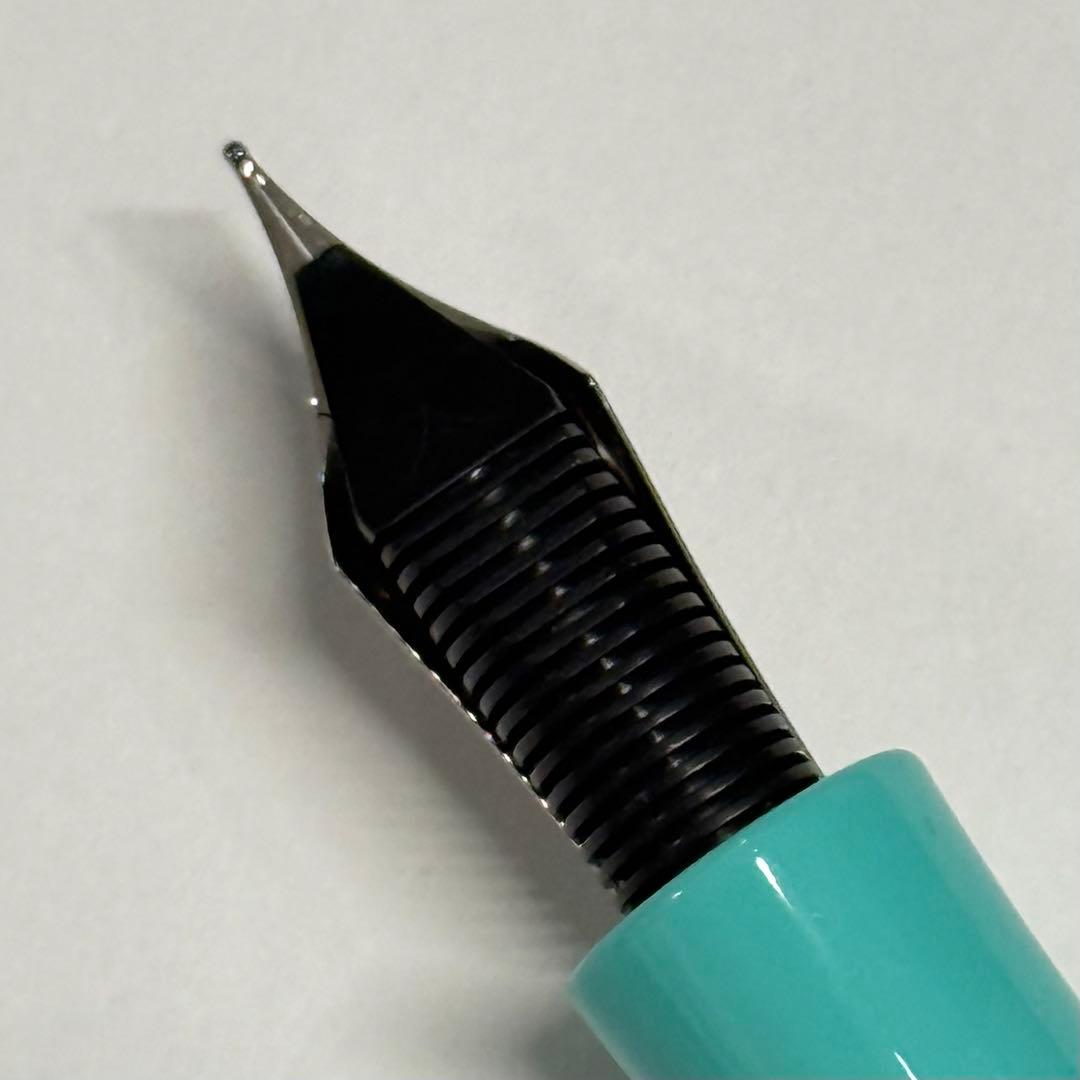 VISCONTI ビスコンティ ディヴィーナ エレガンス ウェーブ 万年筆 細字