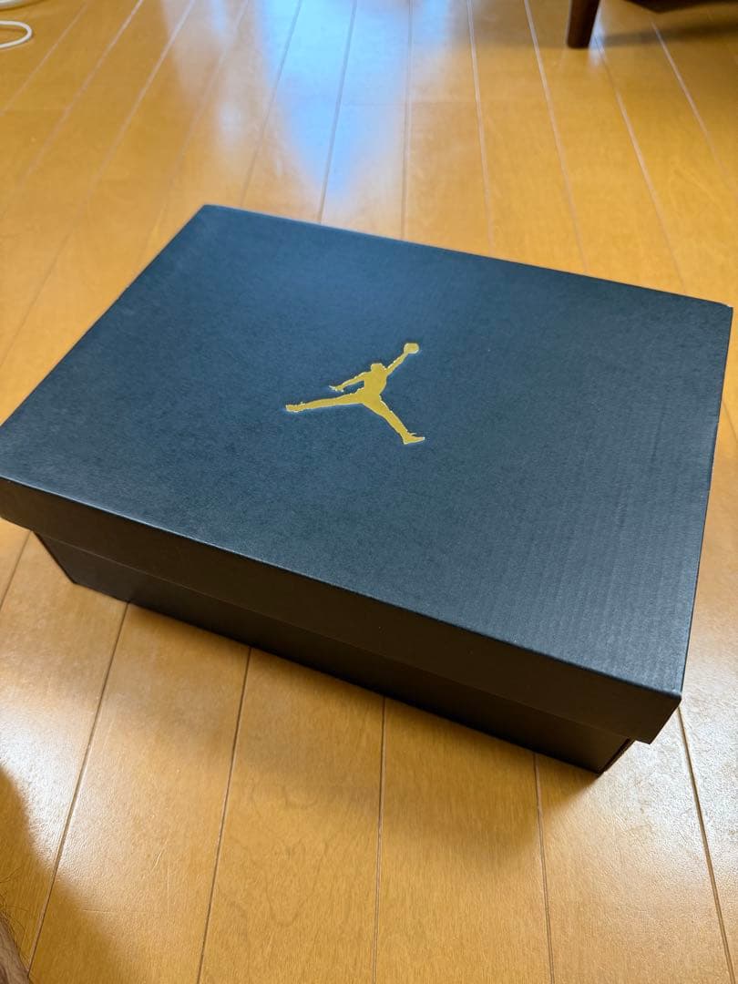 シューズ(男性用) AIR JODAN 1 LOW G