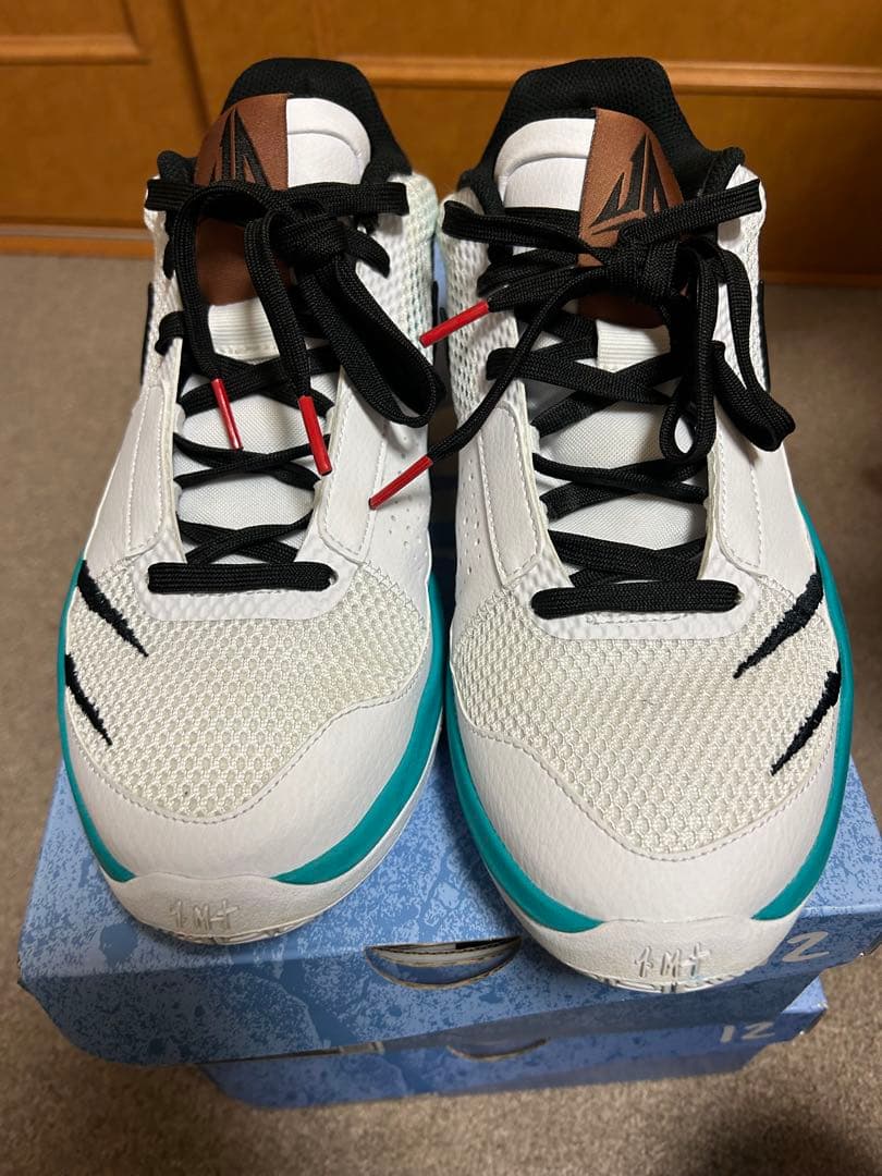 NIKE JA1 EP ナイキ　ジャ1
