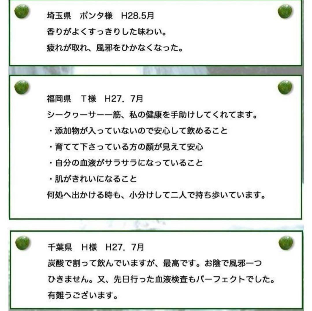 沖縄県産 青切りシークワーサー 原液果汁100％ 2本セット