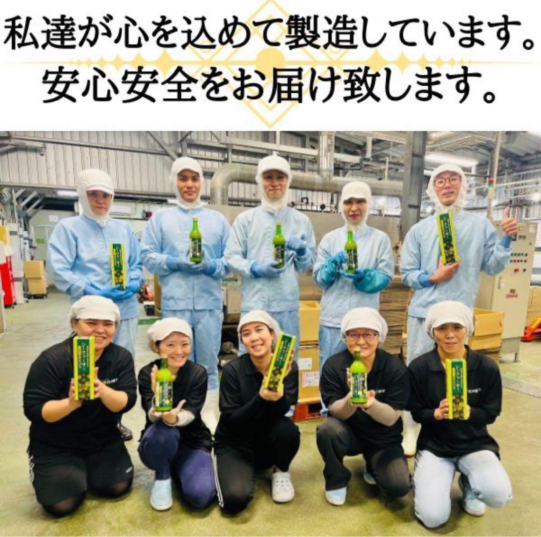 沖縄県産 青切りシークワーサー 原液果汁100％ 2本セット