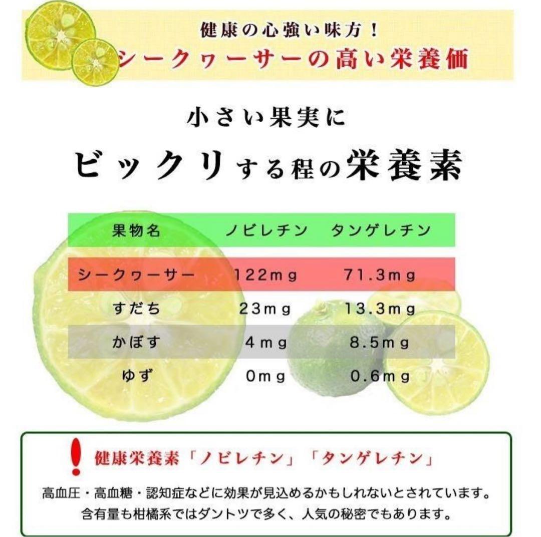 沖縄県産 青切りシークワーサー 原液果汁100％ 2本セット