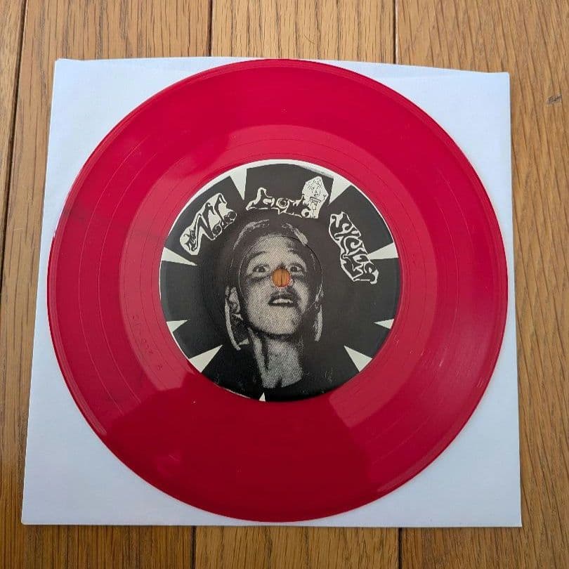 Voodoo Glow Skulls/ Who Is, This Is?レコード