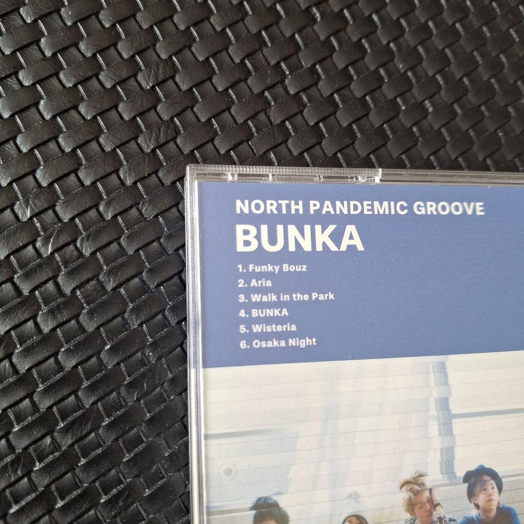 NORTH PANDEMIC GROOVE BUNKA サイン入り 希少 レア