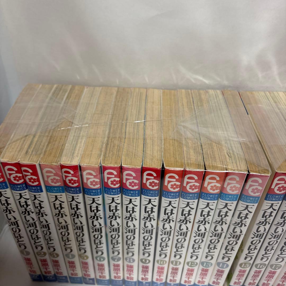 天は赤い河のほとり 全巻・ファンブック付き　全29冊セット
