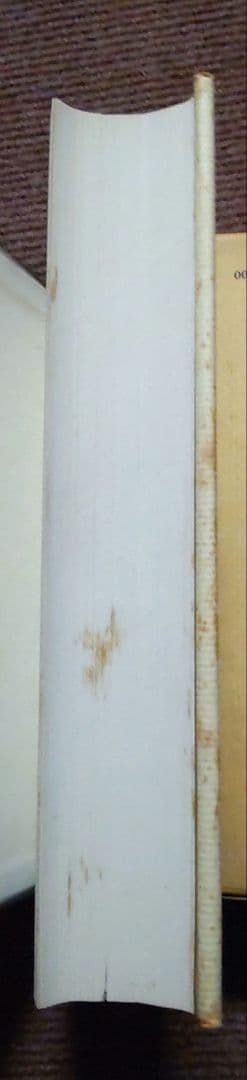 妙法蓮華経略儀　 鈴木修学 (著) 　青山書院刊