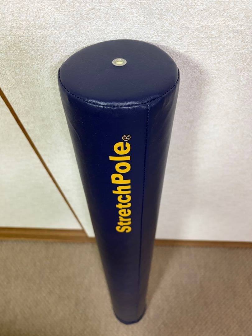 超美品！LPN 正規品 ストレッチポールMX ネイビー