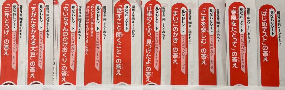 最新版　2025年度　小3 カラーテスト こたえ見なおしシート　国語　19枚