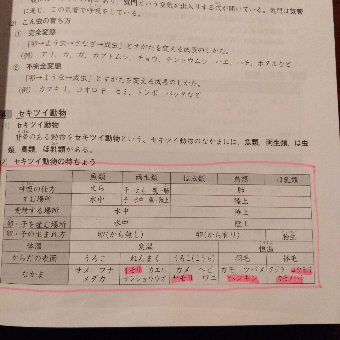 完全制覇シリーズ　6年受験国語算数理科社会　計算トレーニング歴史写真資料問題集