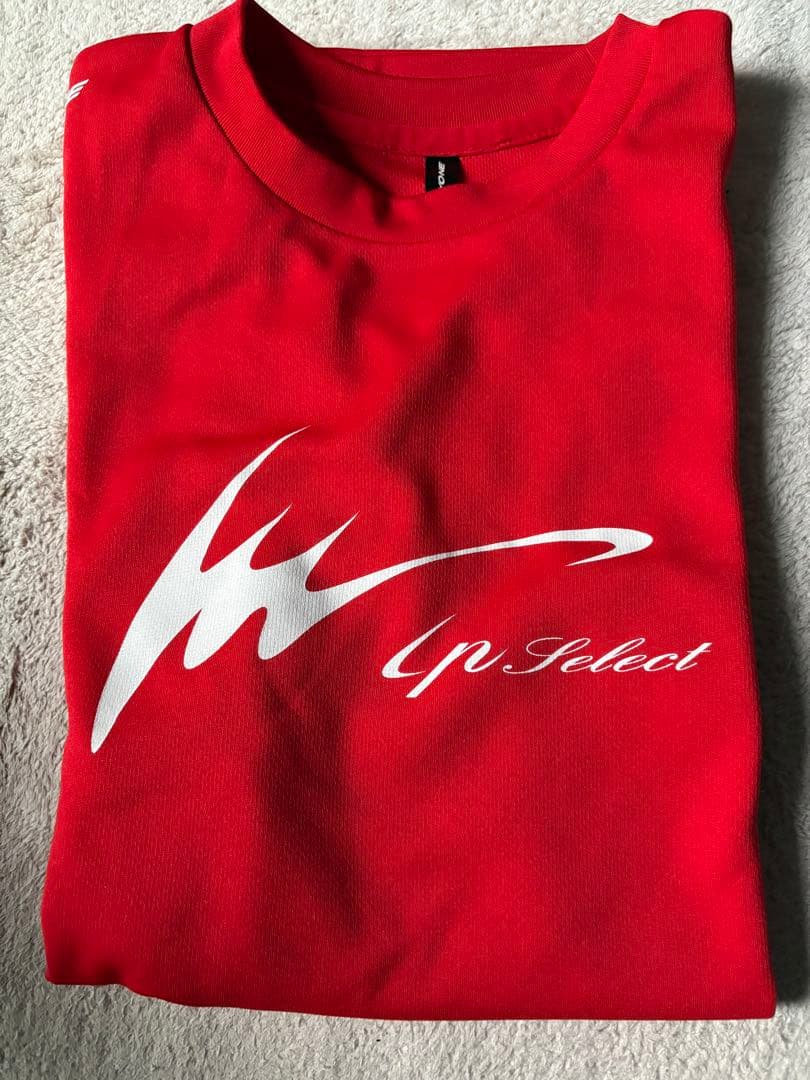 アイピーセレクト　内野手　硬式用グローブ Tシャツ付
