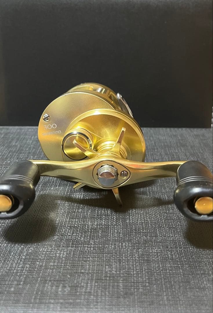 18カルカッタコンクエスト300 右巻き