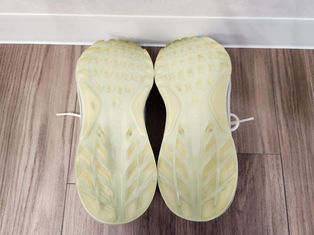 ecco BIOM C4 24.5センチ(39)