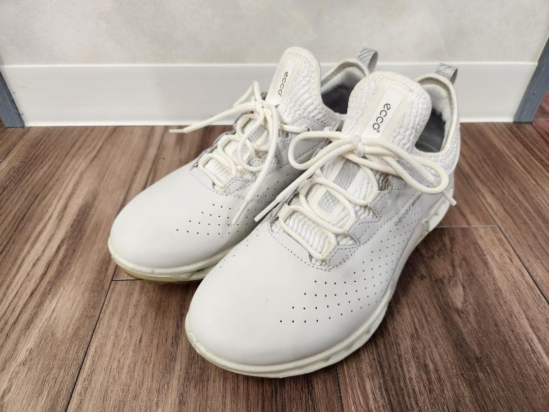 ecco BIOM C4 24.5センチ(39)
