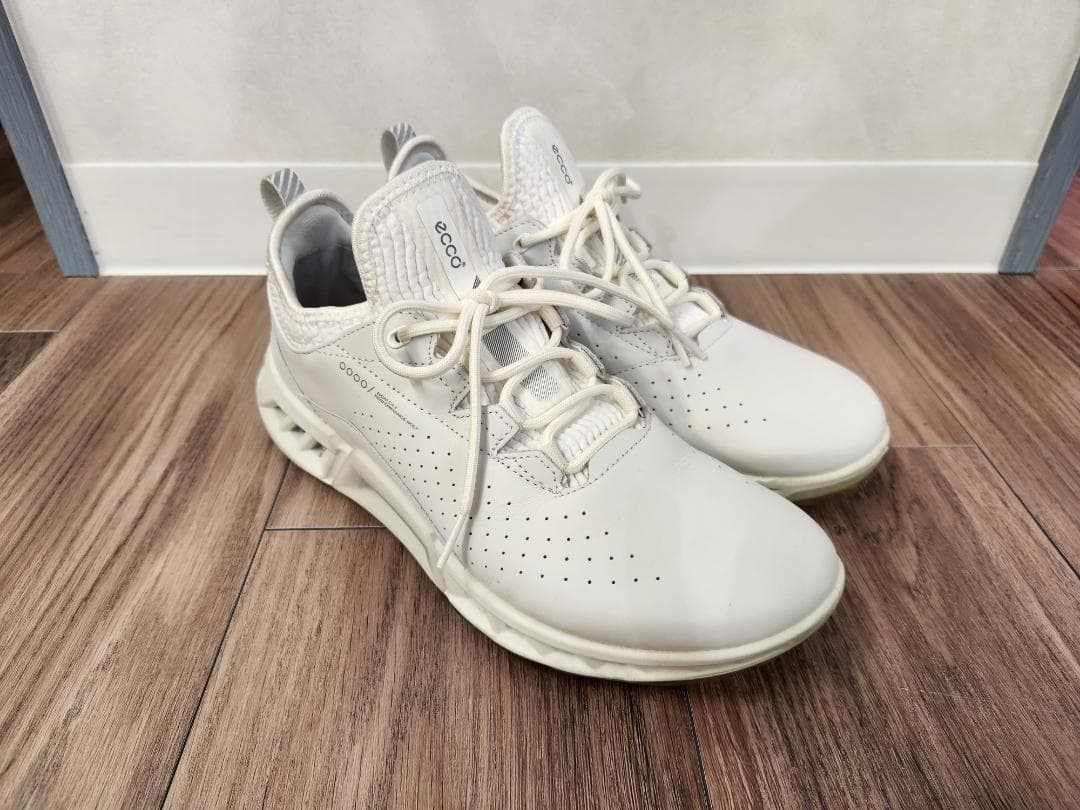 ecco BIOM C4 24.5センチ(39)