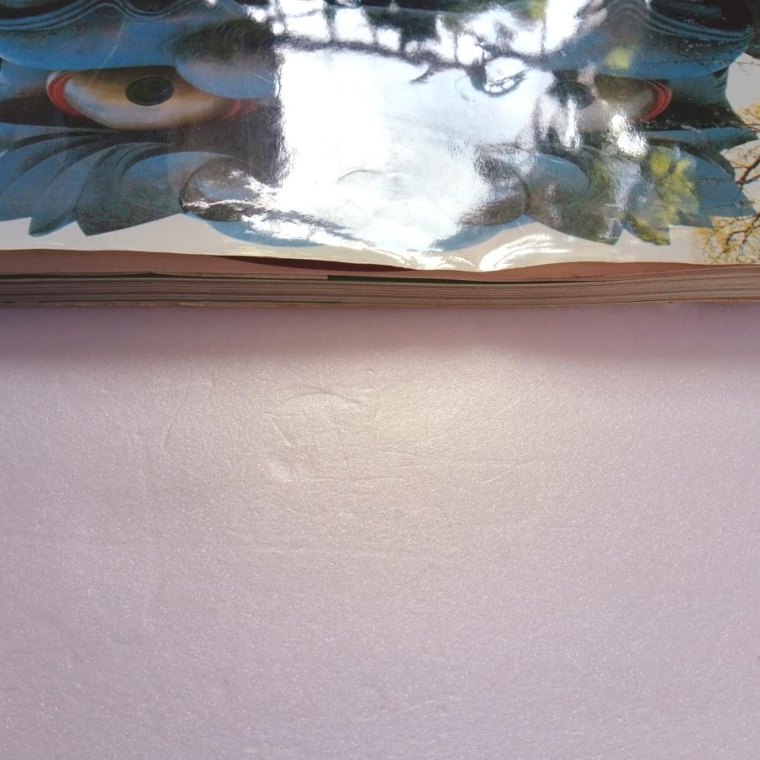 たま 写真集 きゃべつ