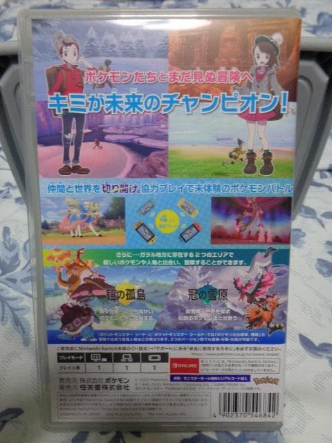 ポケットモンスター ソード + エキスパンションパス 動作可能