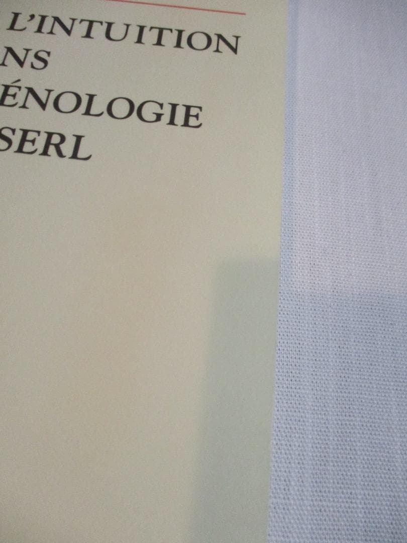洋書 Emmanuel Levinas Theorie De L'intuition