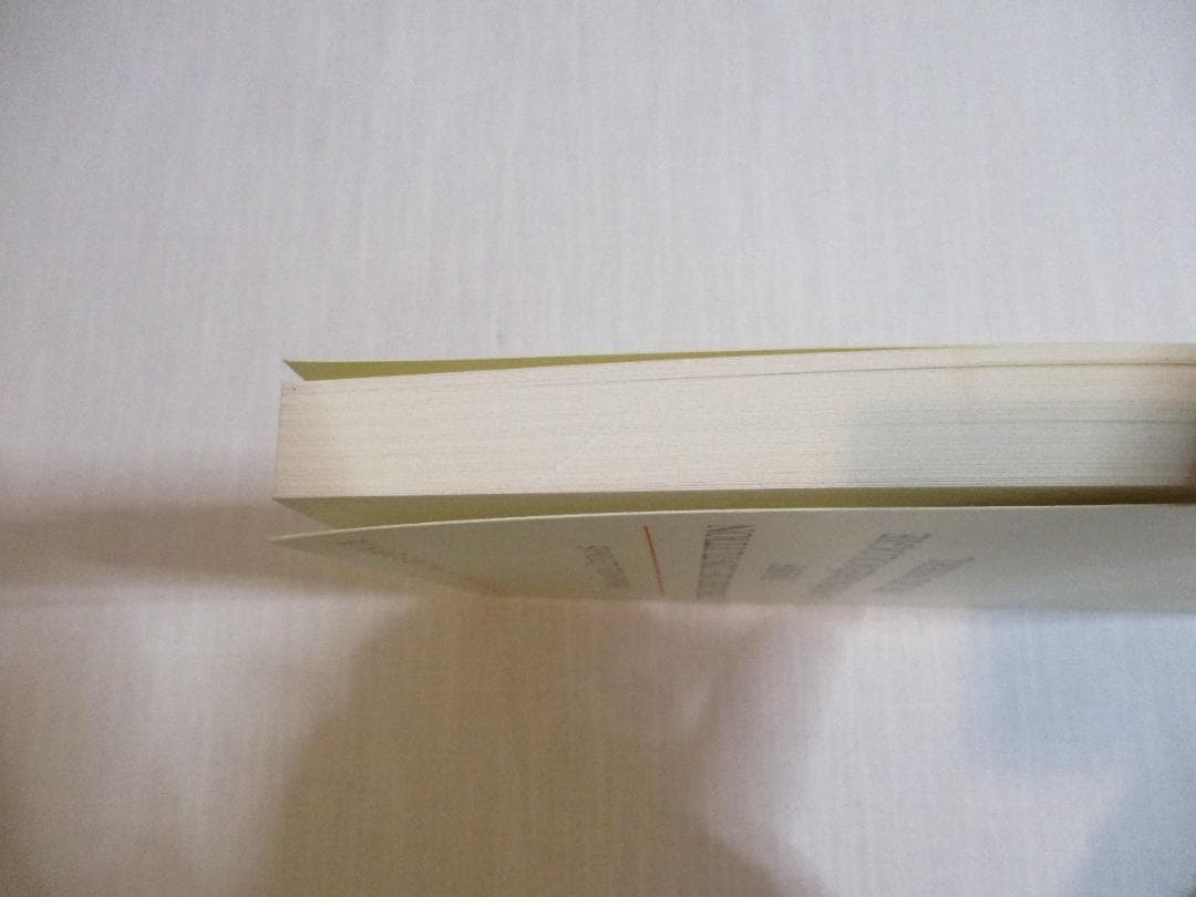 洋書 Emmanuel Levinas Theorie De L'intuition