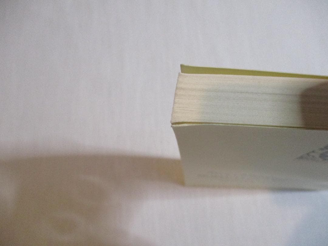洋書 Emmanuel Levinas Theorie De L'intuition