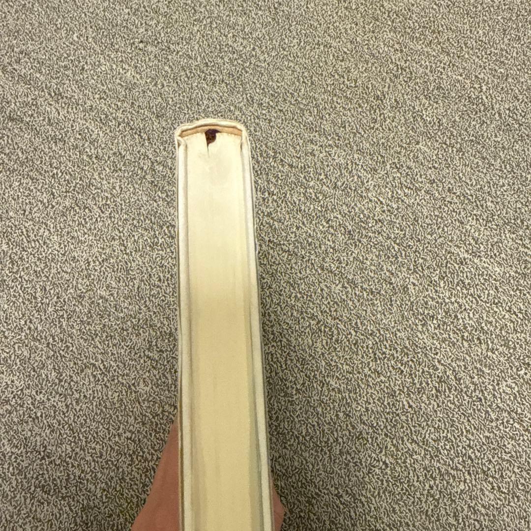 その音楽の<作者>とは誰か : リミックス・産業・著作権