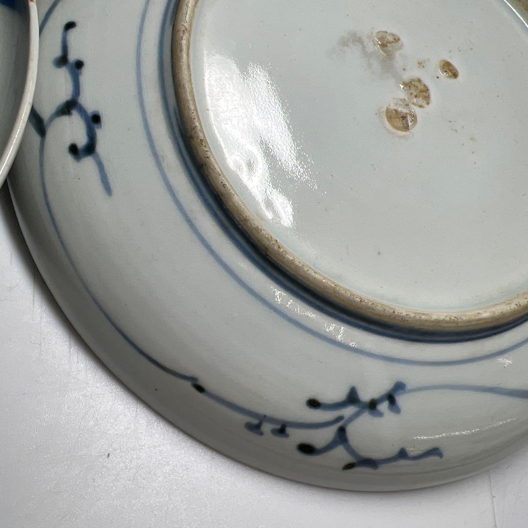 古伊万里　染付中皿6枚　木箱付　直径約20㎝　東Y8-0220②