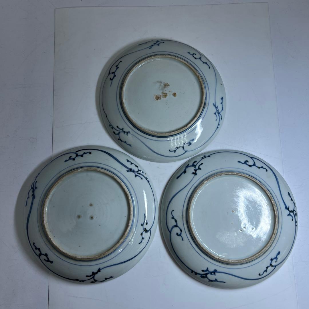 古伊万里　染付中皿6枚　木箱付　直径約20㎝　東Y8-0220②