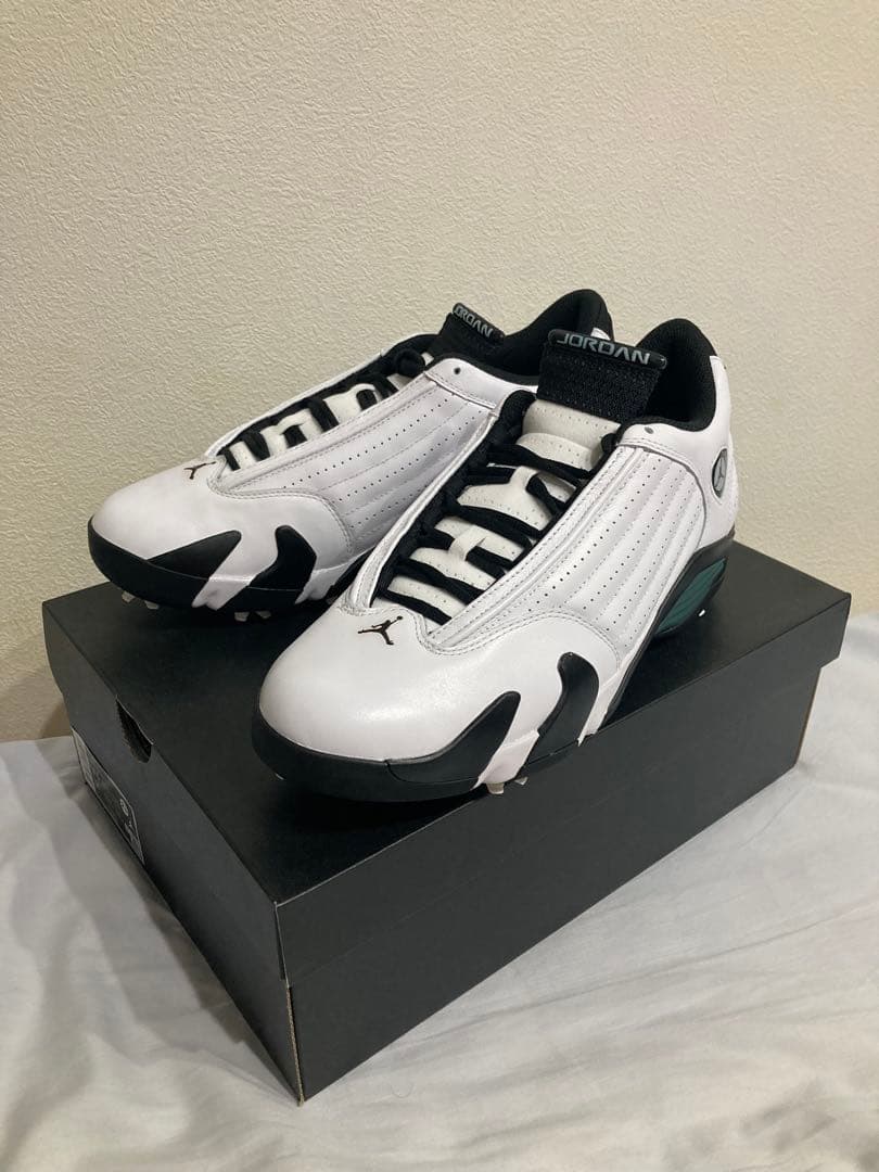 シューズ(男性用) AIR JORDAN 14G