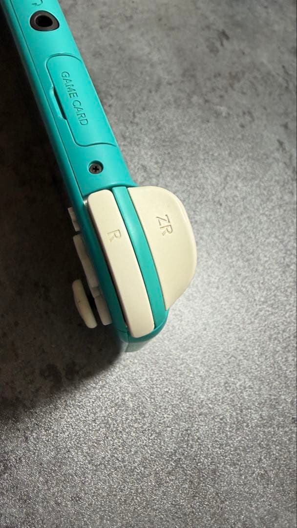 Switchライト ターコイズ (箱付き、充電器付き)