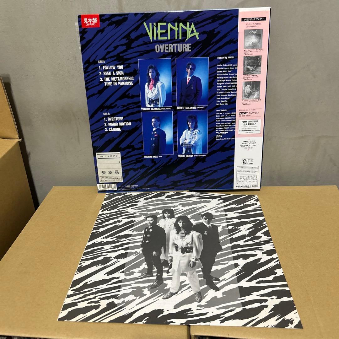 VIENNA ヴィエナ　ジャパメタ　レコード2枚セット