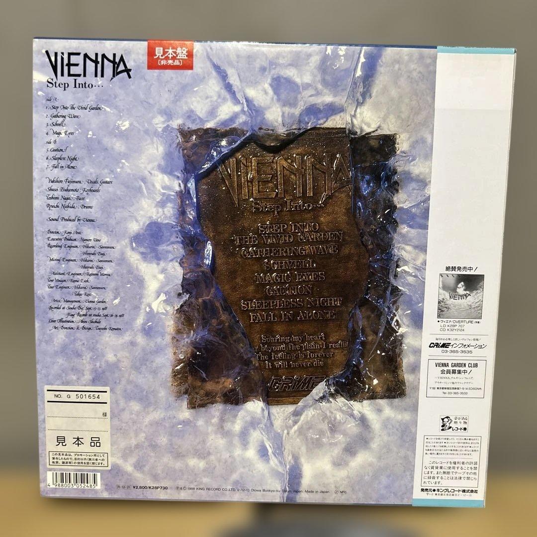 VIENNA ヴィエナ　ジャパメタ　レコード2枚セット