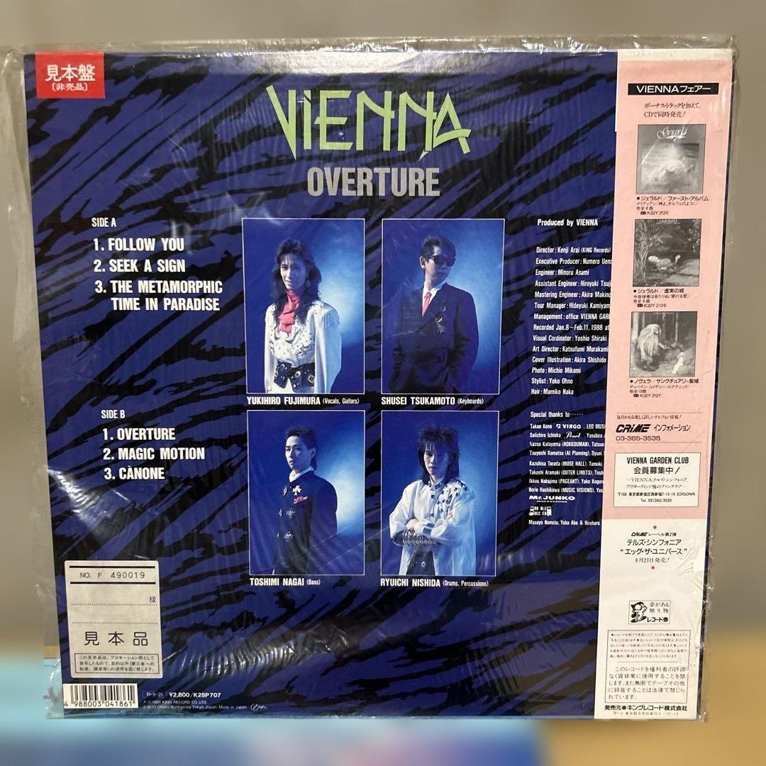 VIENNA ヴィエナ　ジャパメタ　レコード2枚セット