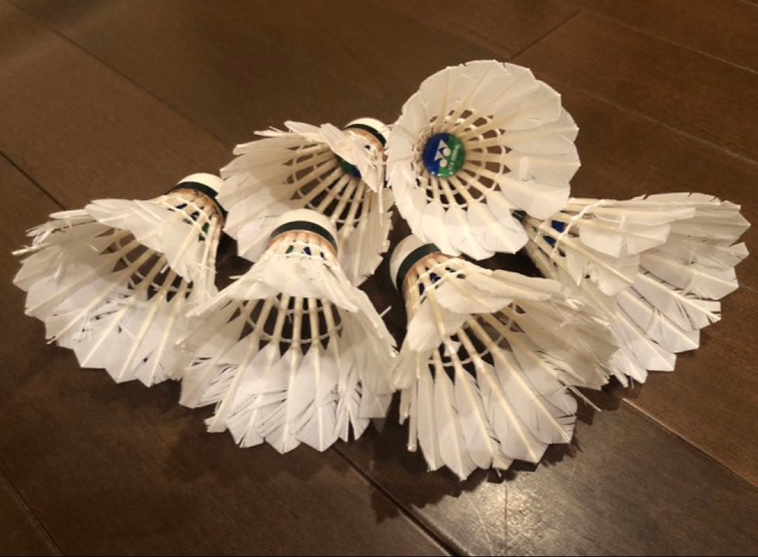 YONEX ニューオフィシャル　中古シャトル