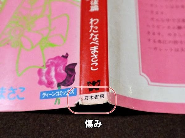 非貸本　はだしのプリンセス　前編・後編　全2巻　わたなべまさこ