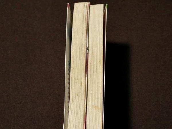 非貸本　はだしのプリンセス　前編・後編　全2巻　わたなべまさこ