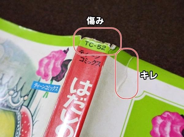 非貸本　はだしのプリンセス　前編・後編　全2巻　わたなべまさこ