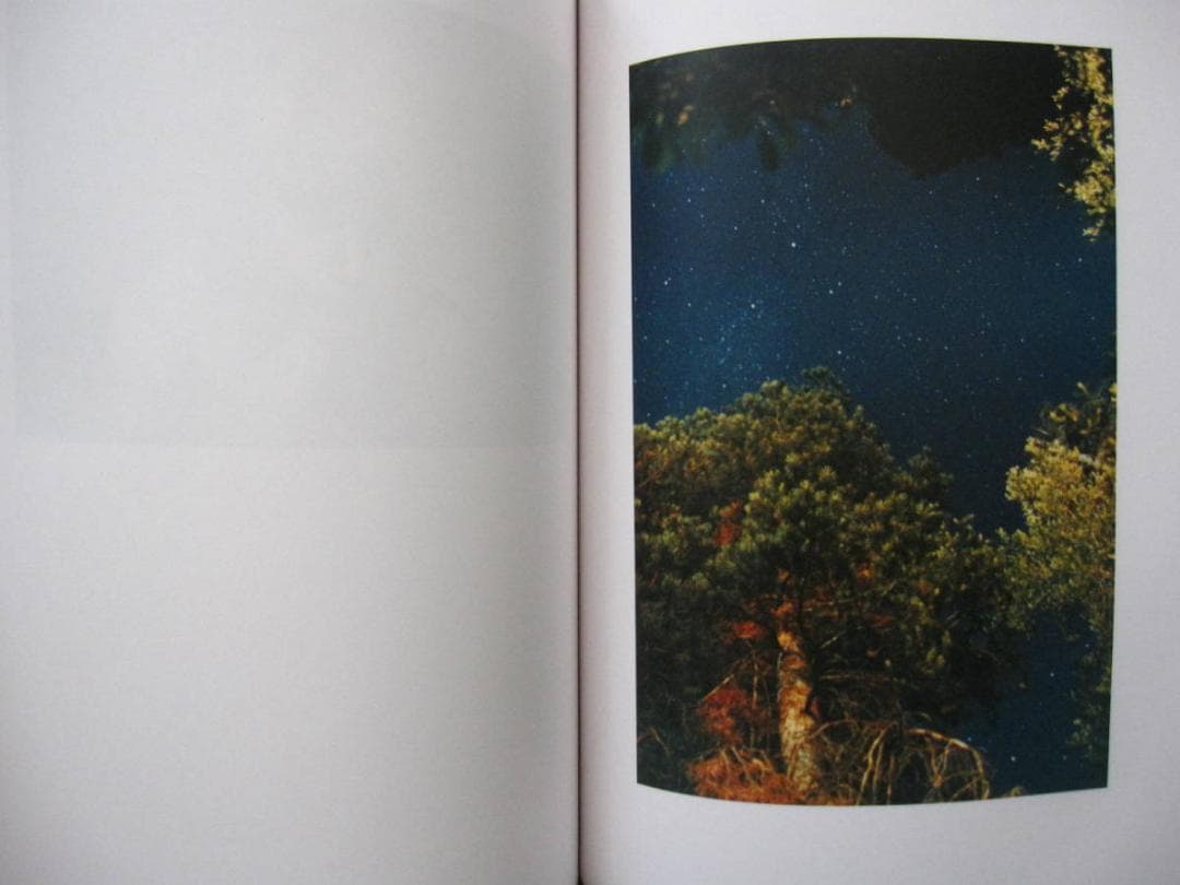 Life Adjustment Center　Ryan McGinley