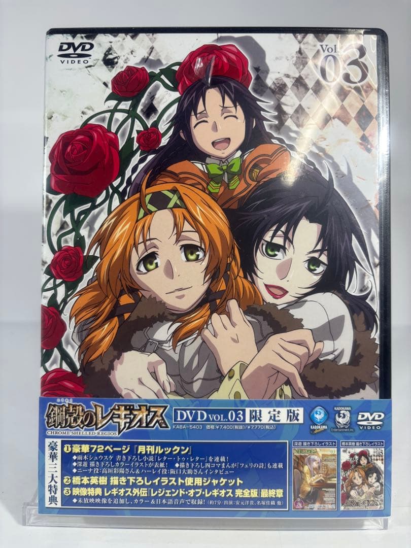 鋼殻のレギオス 限定版　未開封dvd 10巻セット