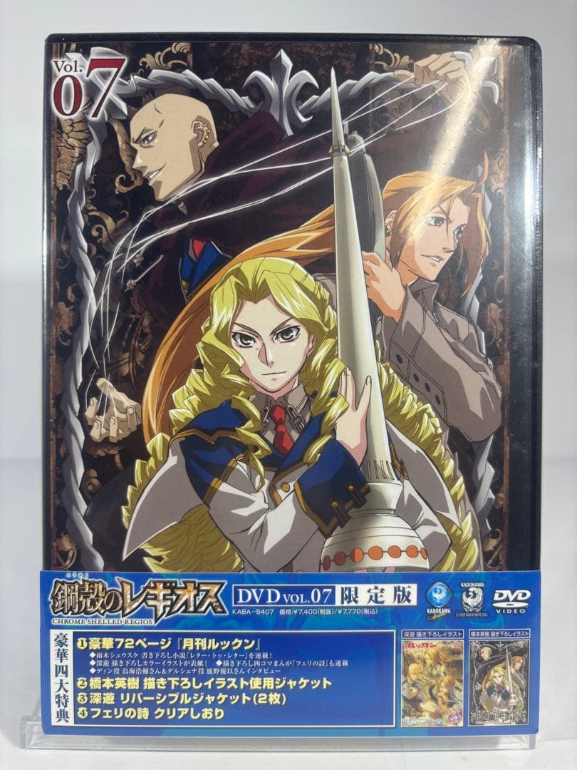 鋼殻のレギオス 限定版　未開封dvd 10巻セット