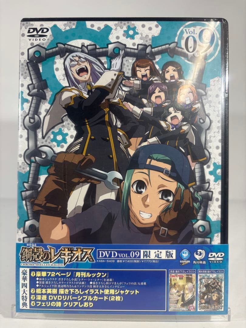 鋼殻のレギオス 限定版　未開封dvd 10巻セット