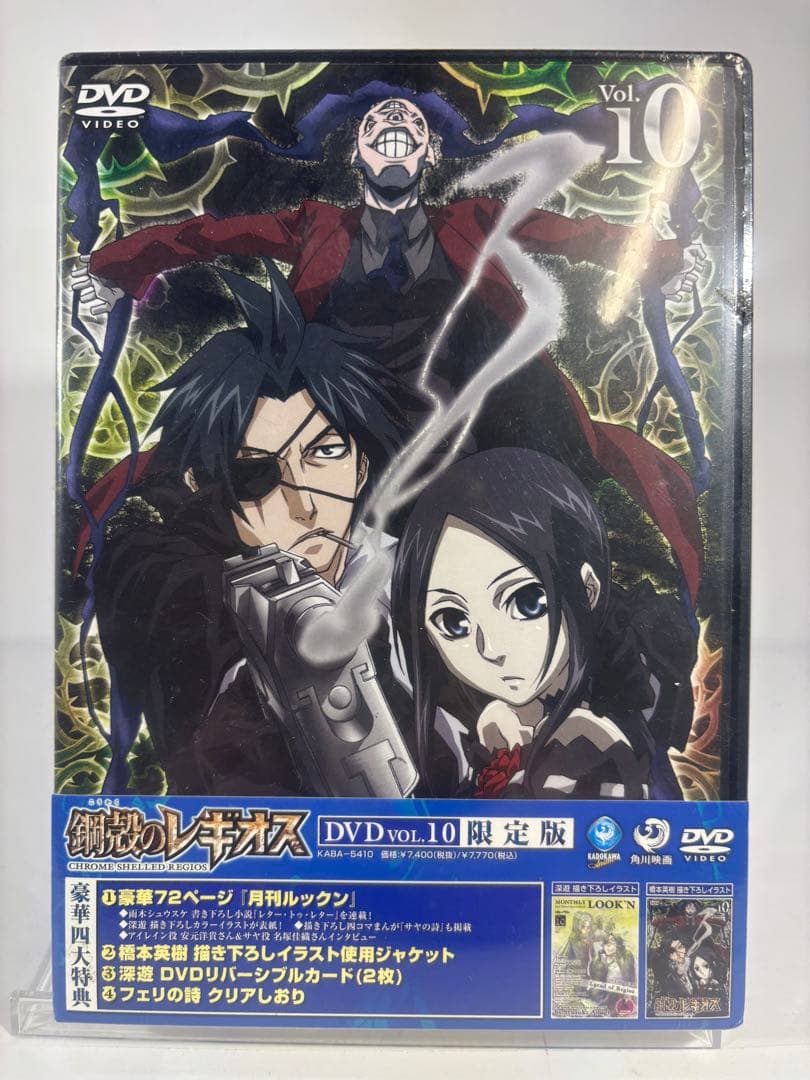 鋼殻のレギオス 限定版　未開封dvd 10巻セット
