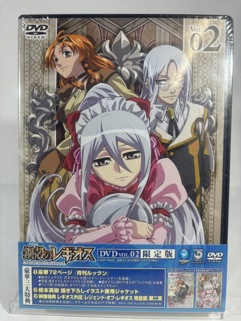 鋼殻のレギオス 限定版　未開封dvd 10巻セット