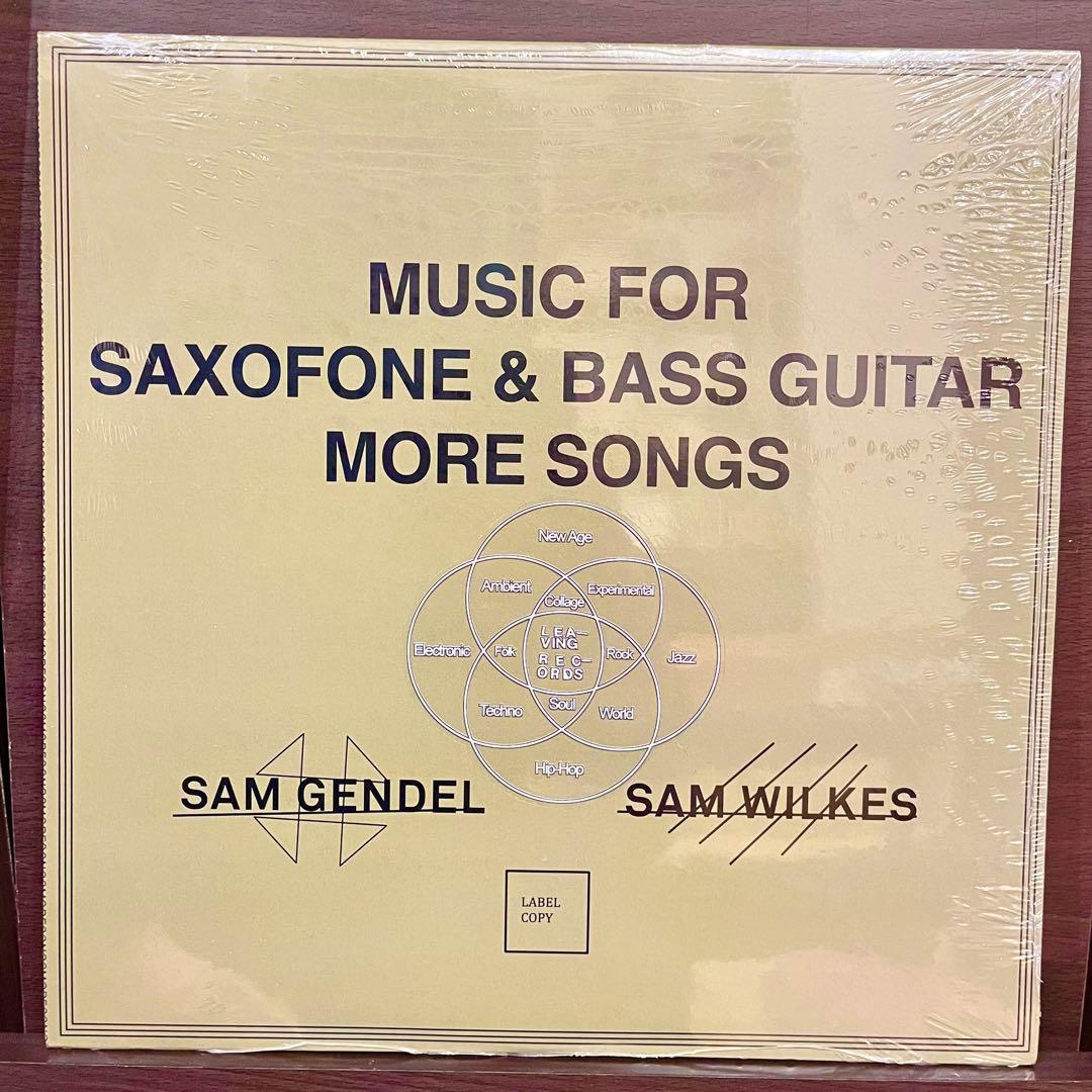 【ラストストック】Sam Gendel & Sam Wilkes レコードセット