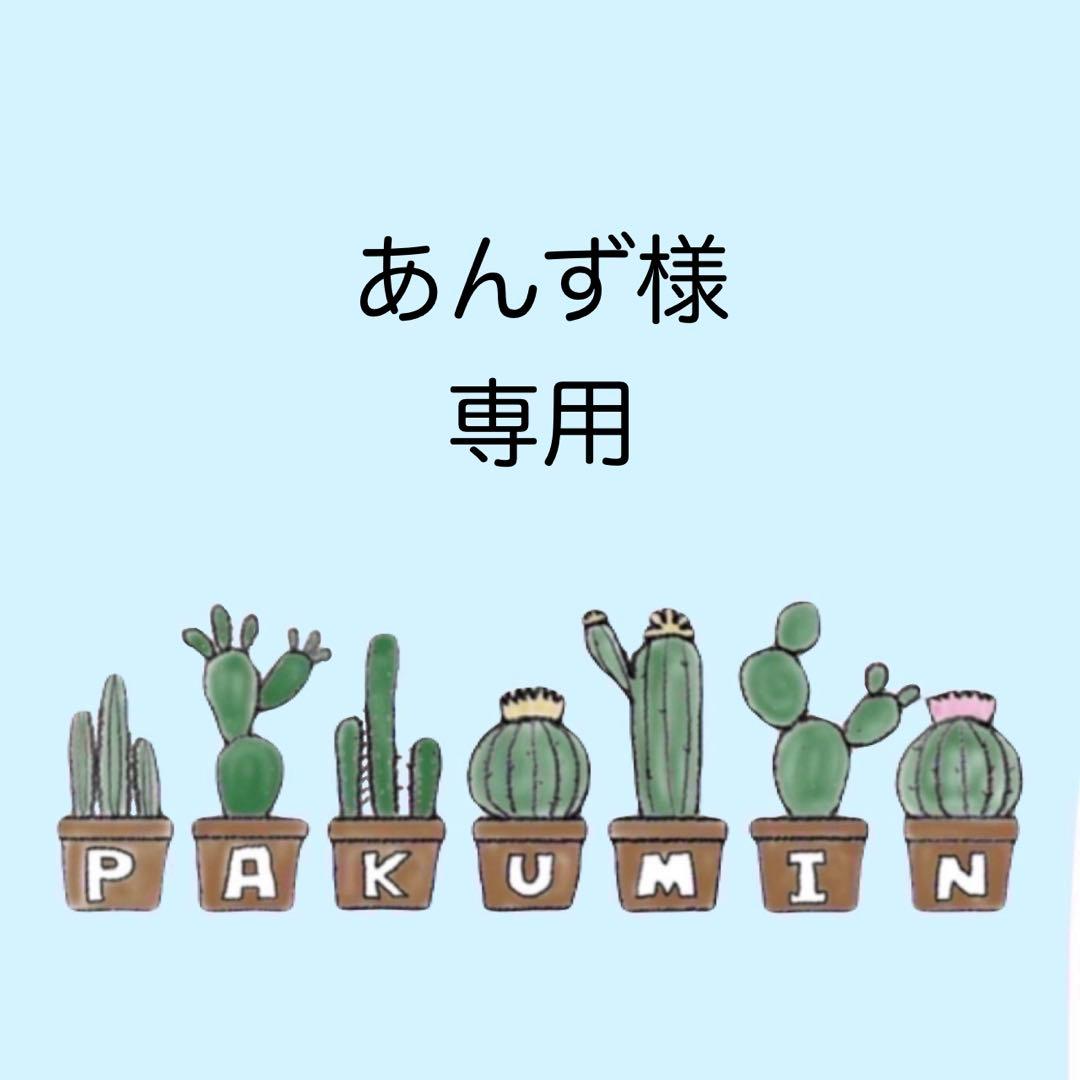 ✨あんず ✨A6 アクリルレジンバインダー　リング付き×2セット