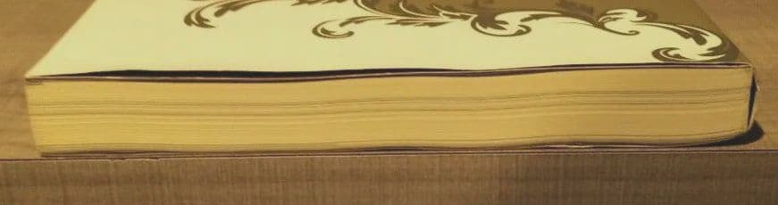 ◇虹の橋渡りつづけて : 宝塚歌劇100年史 舞台編◇宝塚