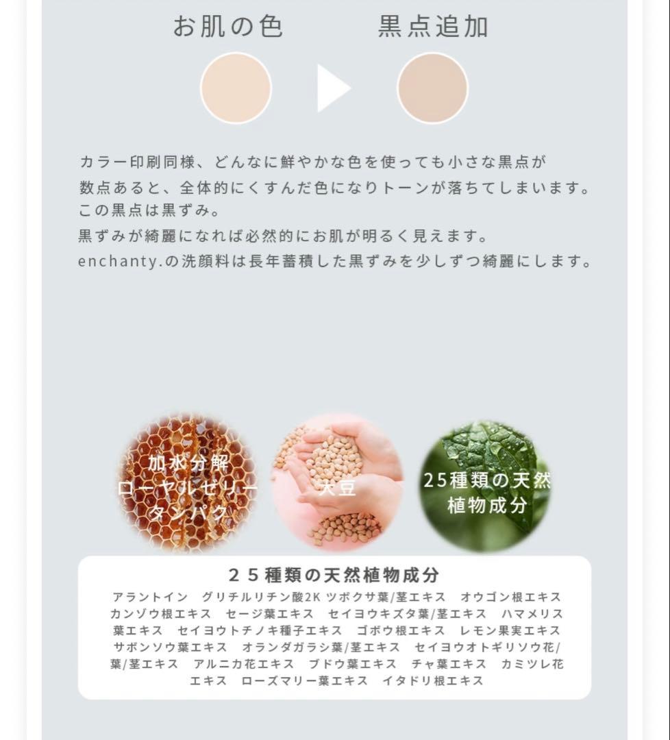 enchanty. cleansing tea wash 洗顔料 詰め替え用