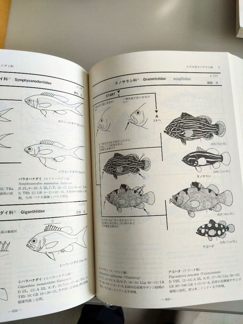 日本産 魚類検索 全種の同定