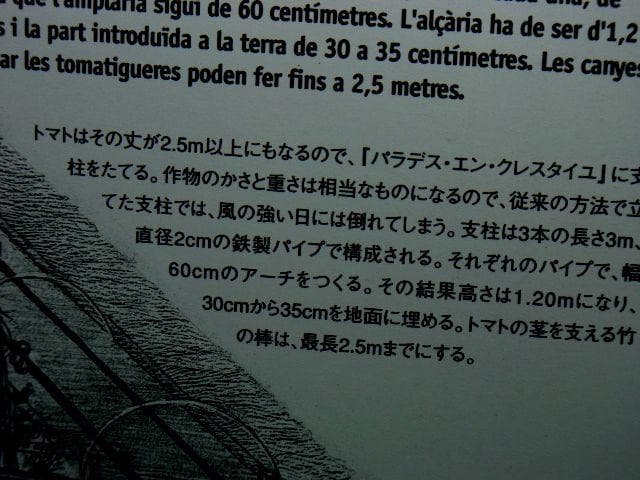 有機栽培スペイン有機農法パラデス・エン・クレスタイユ有機農業有機菜園有機野菜堆肥